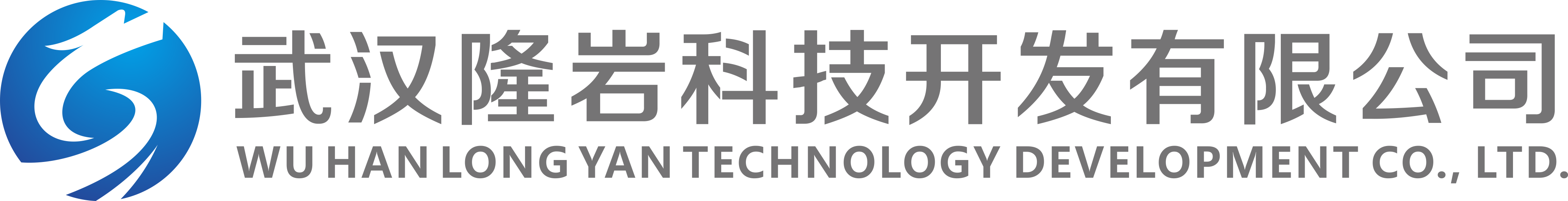 武漢隆巖科技開發有限公司